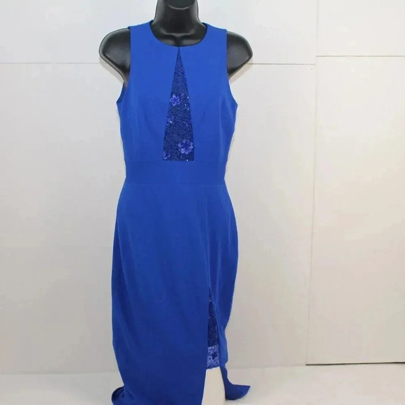 NWT  DRESS THE POPULATION - Picture 1 of 12